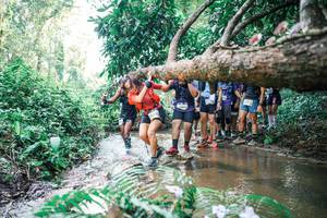 BIB: 
                            <button type="button" onclick="openModal(25473046)" class="btn btn-primary btn-sm float-right btn-popup" data-toggle="modal" data-target=".modal-high-quality">
                        <i class="fas fa-shopping-cart"></i> Add to Cart
                    </button>
                                            <button type="button" onclick="isThisMe(25473046, true)" class="btn btn-success btn-sm float-right btn-popup btn-isme hidden" data-toggle="tooltip" data-placement="bottom" title="นี่คือรูปของคุณใช่ไหม คลิกที่นี่เพื่อเอาเข้าอัลบั้ม">
                        <i class="fas fa-plus"></i> Add to album
                    </button>
                    <button type="button" onclick="isThisMe(25473046, false)" class="btn btn-warning btn-sm float-right btn-popup btn-isnotme hidden">
                        <i class="fas fa-ban"></i> Remove from album
                    </button>